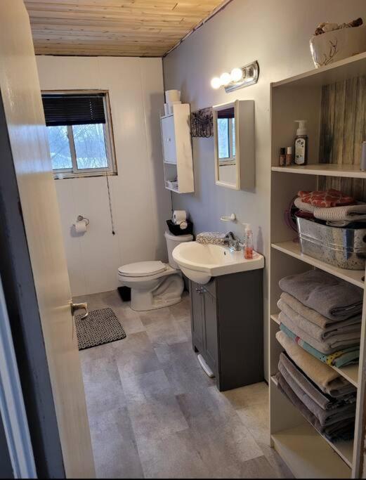 Family Friendly Cottage ☆Walking Distance To Beach Lion's Head Buitenkant foto